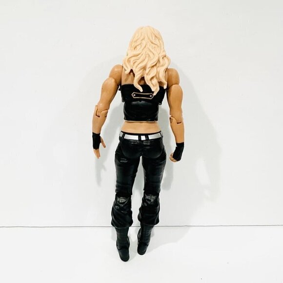 WWE Mattel Kaitlyn Series 36 #12 Wrestling Figure 2014 - Picture 3 of 3